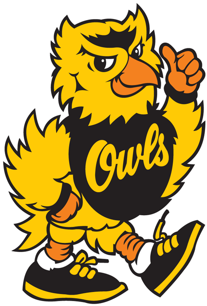 Kennesaw State Owls 1992-2011 Mascot Logo diy DTF decal sticker